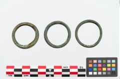 Foto von Bronzering (NHMW-PRAE-024939)